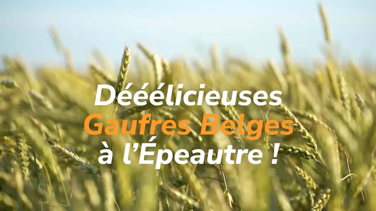 Intro afbeelding